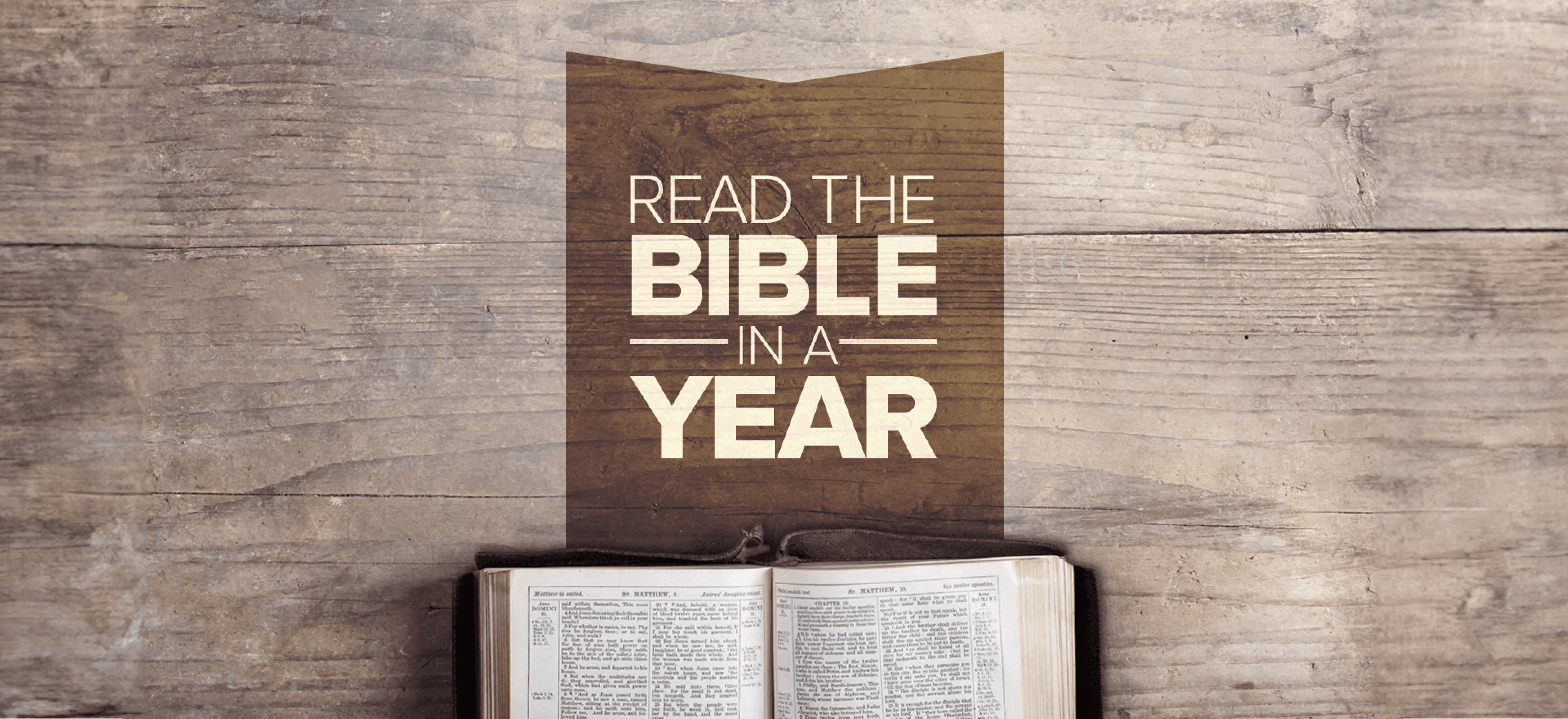 Bible in a Year